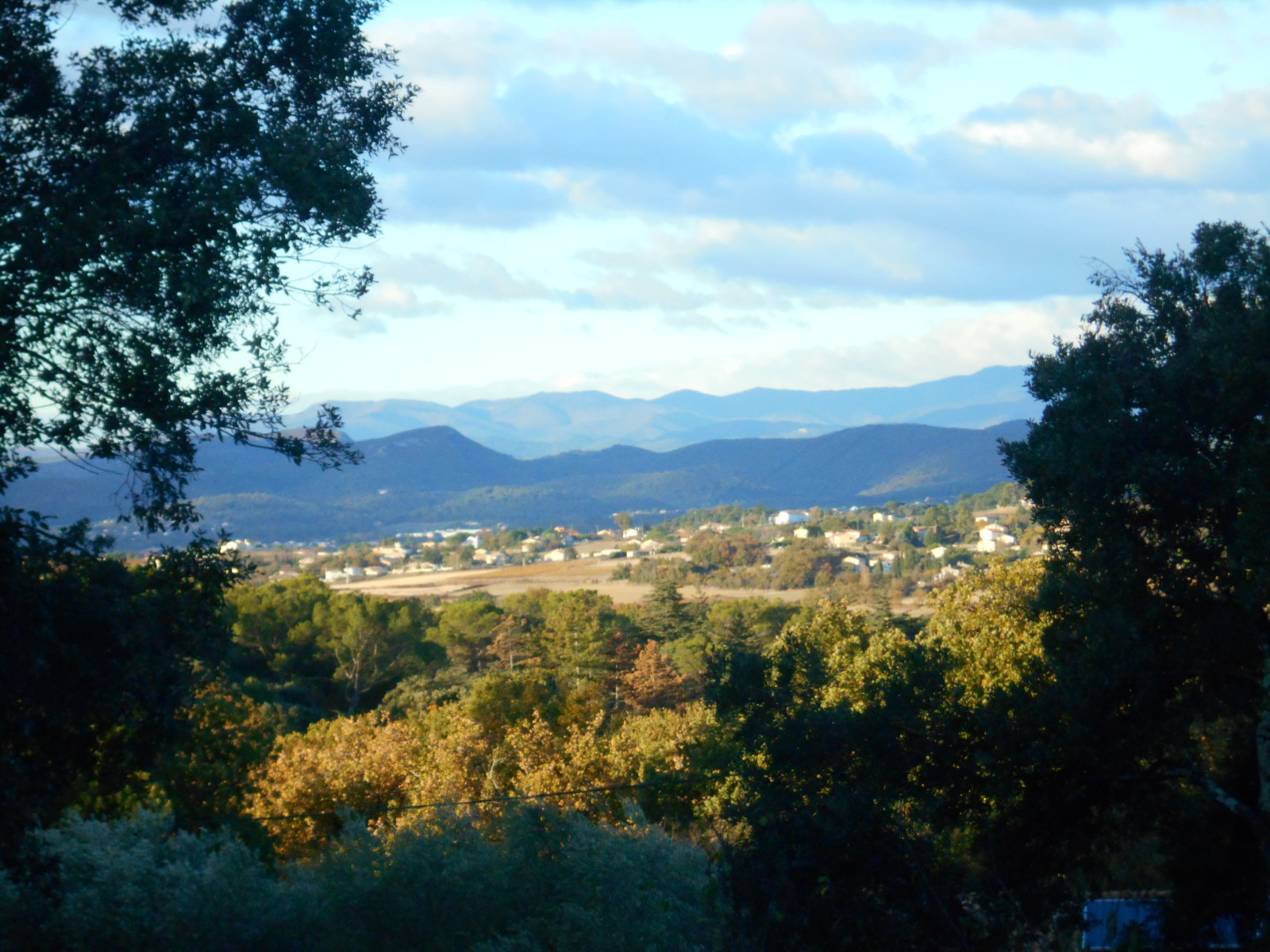 Jardin "Vue sur les Cévennes"